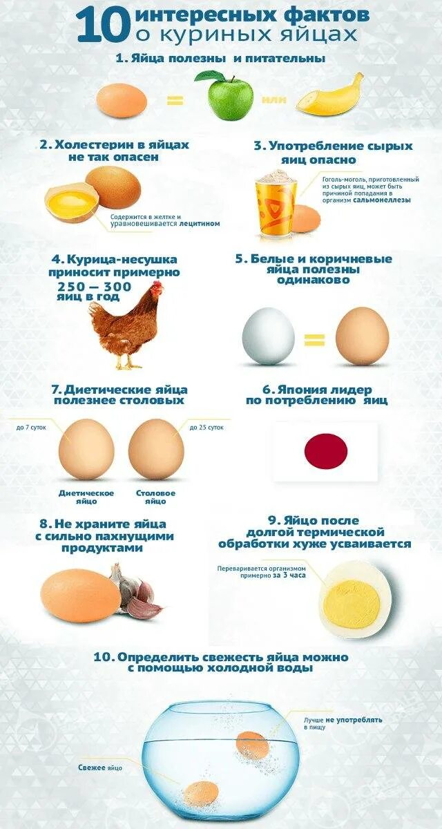 Факты о яйцах куриных. Яйцо ребенку с какого возраста. С какого возраста можно давать ребёнку яйцо. Когда можно давать ребенку яйцо.