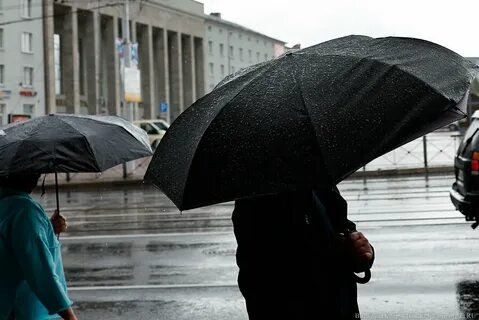 Погода в калининграде в ноябре 2024 какая