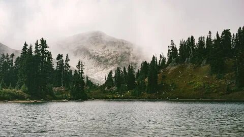 За лесом горы море