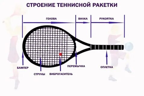Теннис ракетка какая