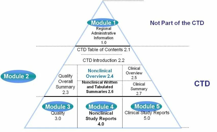 Module 8 3 py