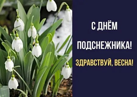 День подснежника классный час
