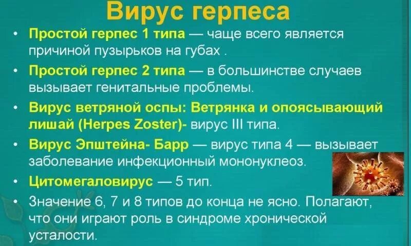 Вирус простого герпеса 6 типа. Вирус герпеса 6 типа симптомы. Вирус герпеса 6 типа сыпь. Вирус герпеса 2 типа симптомы.