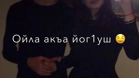 Хьа ойла яра лозу дог
