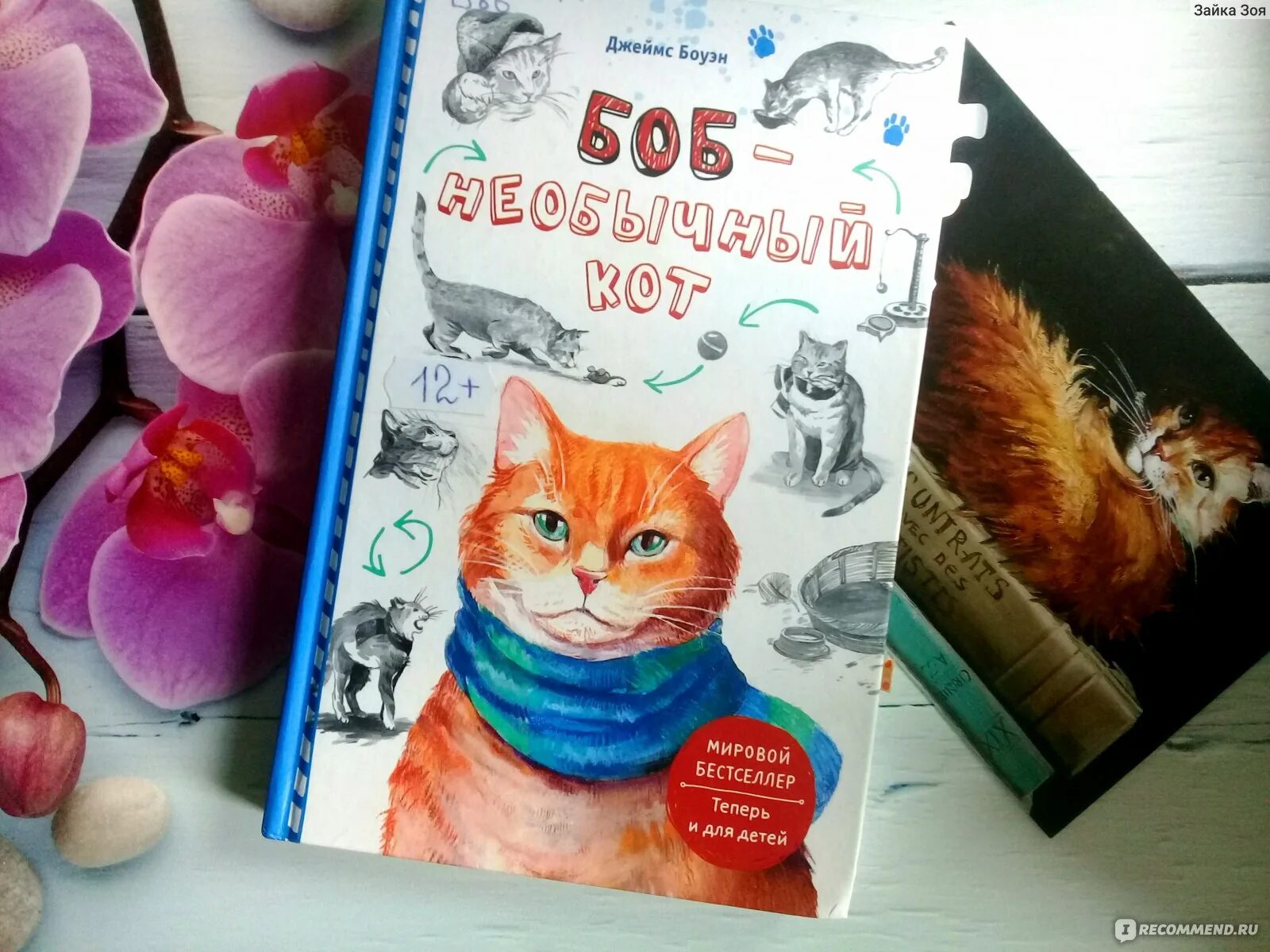 Книга про боба. Книга первая про кота Боба.