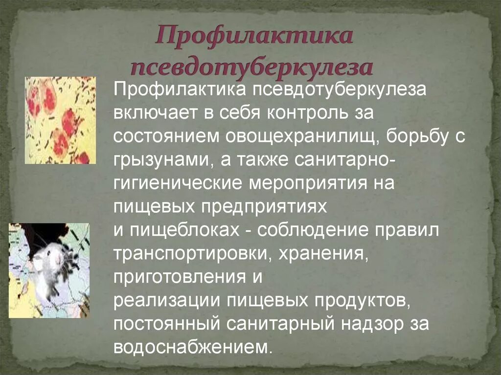 Условия заражения псевдотуберкулезом гигтест ответ