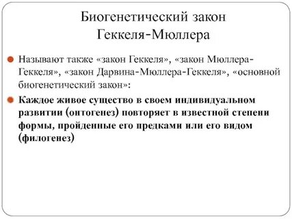 Сформулированный геккелем закон гласит