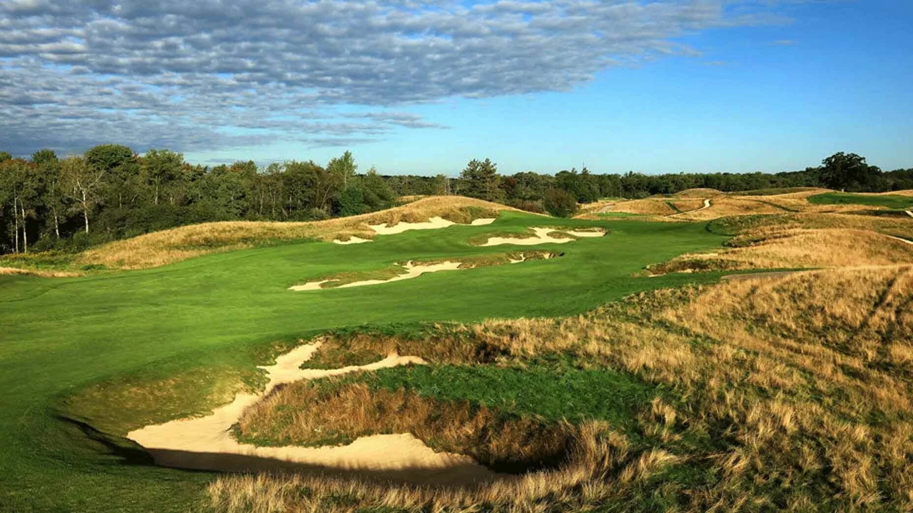 Открытое поле. Форест хиллс гольф клуб. Shinnecock hills golf club. Гольф поля в португалии. Эрин хилл.