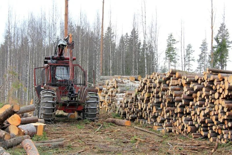 Logging persistent