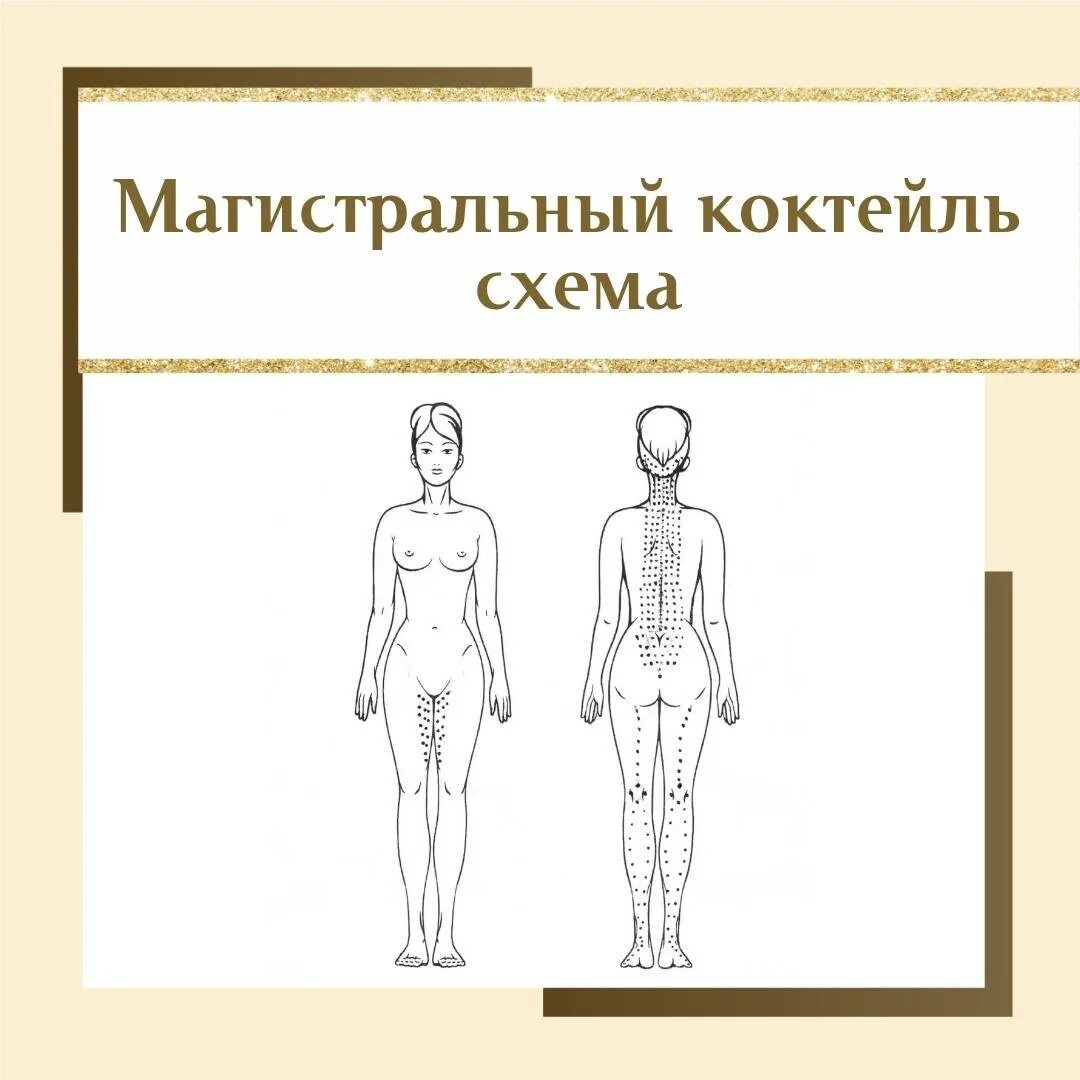 Схема сосудистого этапа. Ровный позвоночник. Схема сосудистого этапа. Сосудистый этап в мезотерапии. Сосудистый этап в мезотерапии.