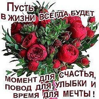 Пусть всегда будет повод для улыбки