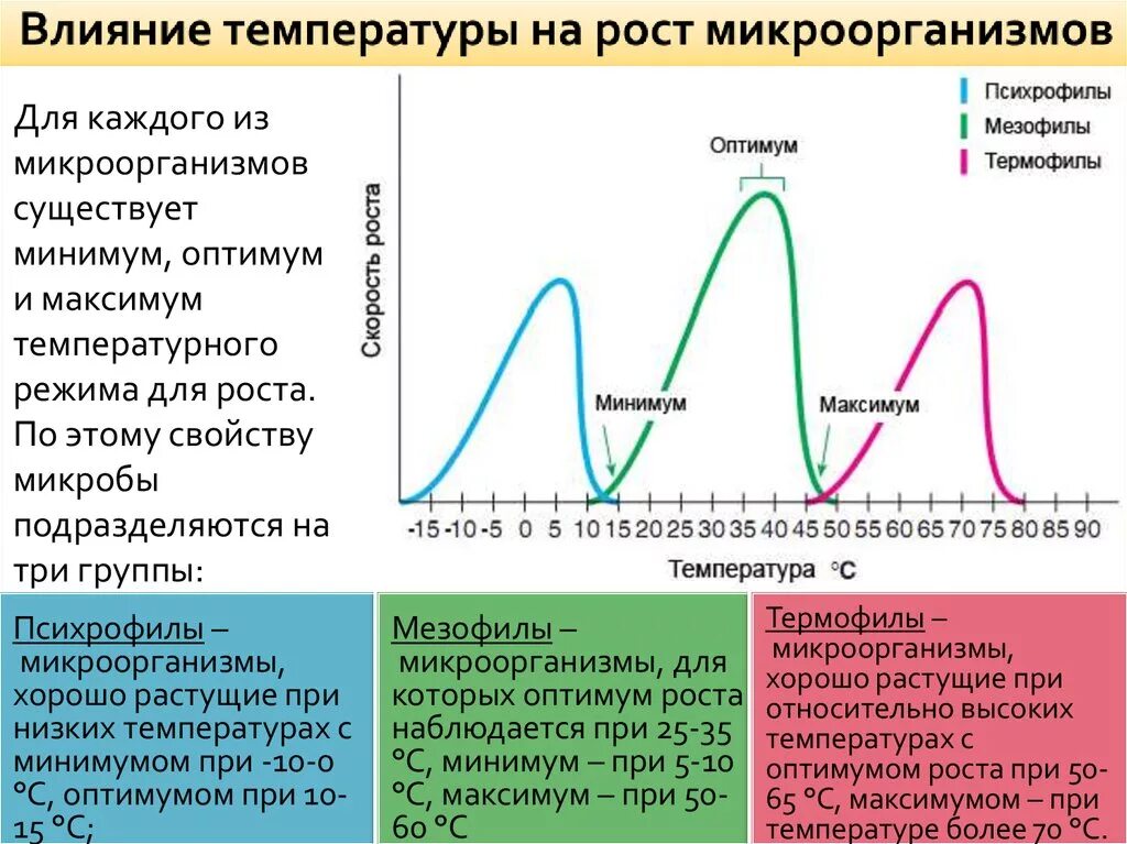 Температура после движения. Влияние температуры на микроорганизмы. Влияние температуры на активность бактерий. Влияние температуры на рост микроорганизмов. Температурные границы роста бактерий.