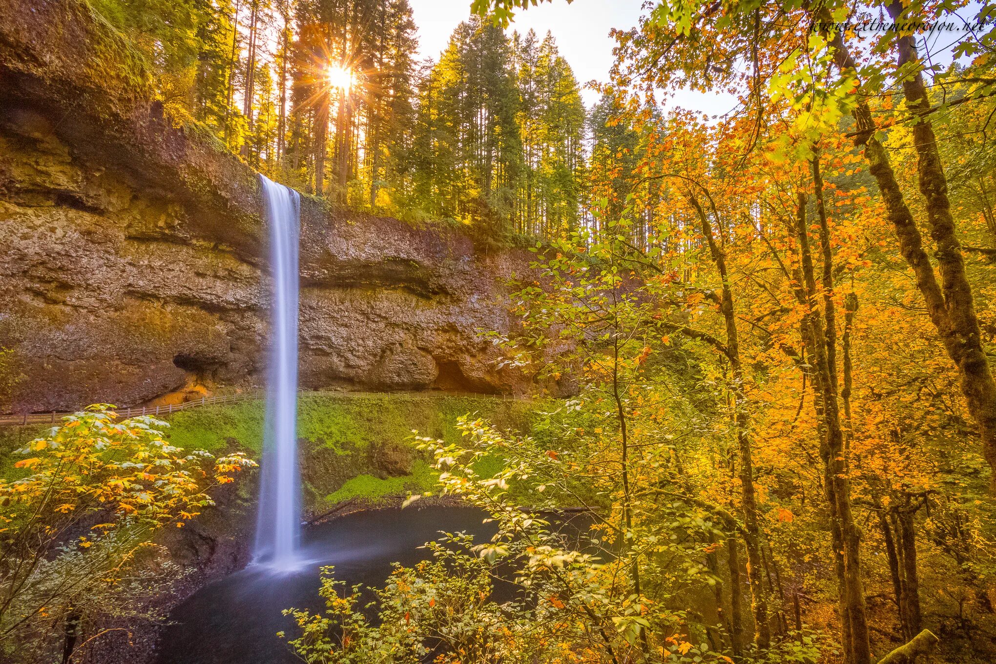 Сильвер Фоллс. Сильвер Фоллс Орегон. Silver Falls Park Oregon. Silver Falls State Park. Fall state