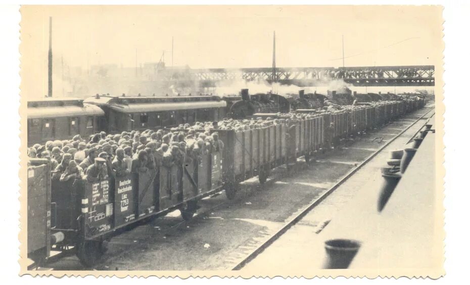 как перевозят военнопленных. советские военнопленные 1941 в вагонах. лагеря военнопленных в 1941. 1941 год концлагеря в германии. жд платформы третьего рейха.