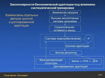 Динамика систематического изменения