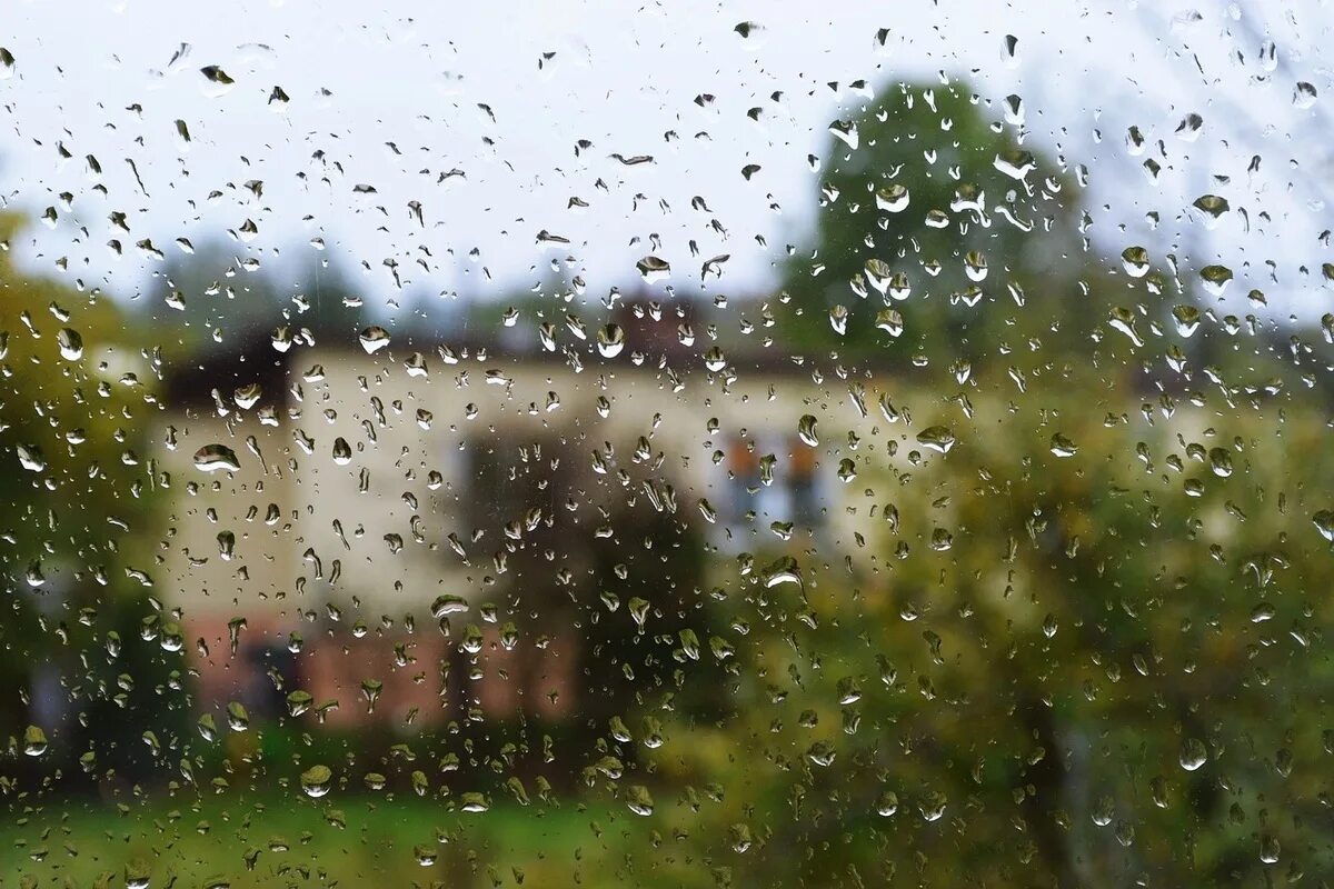 Дожди усилить. Летний ливень. Дождь. Дождливое лето. Дождь летом.