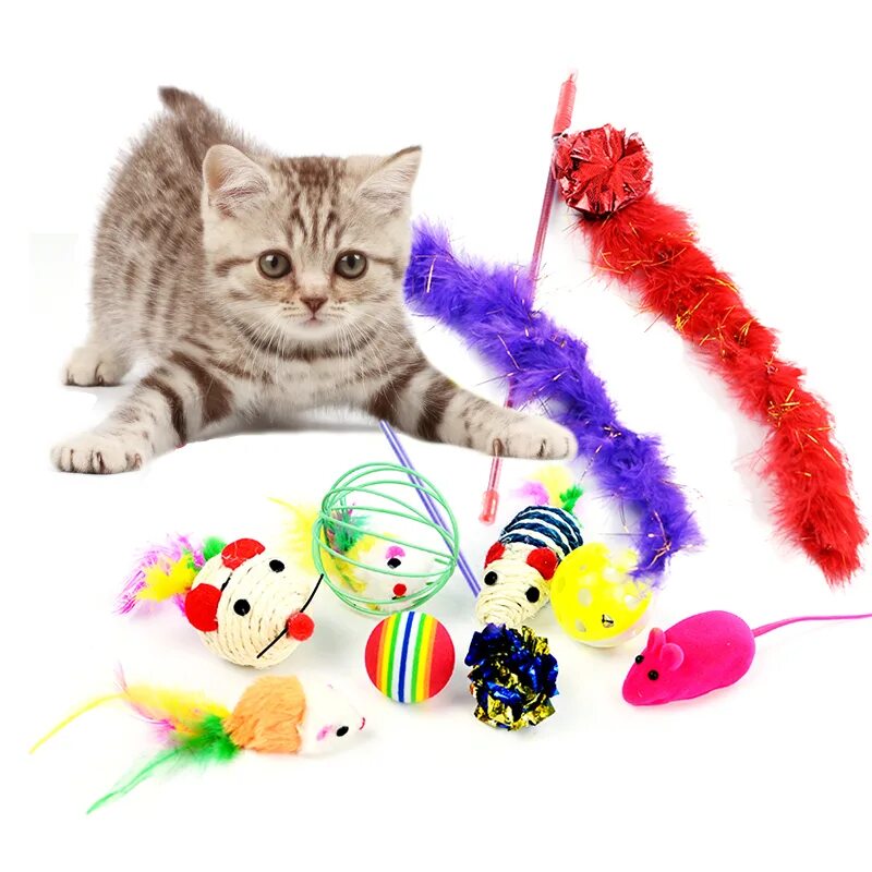 Игрушки для котят для начинающих. Подарок для кошки. шуршащие игрушки для кошек. котенок с подарком. игрушка кошка на подарок.