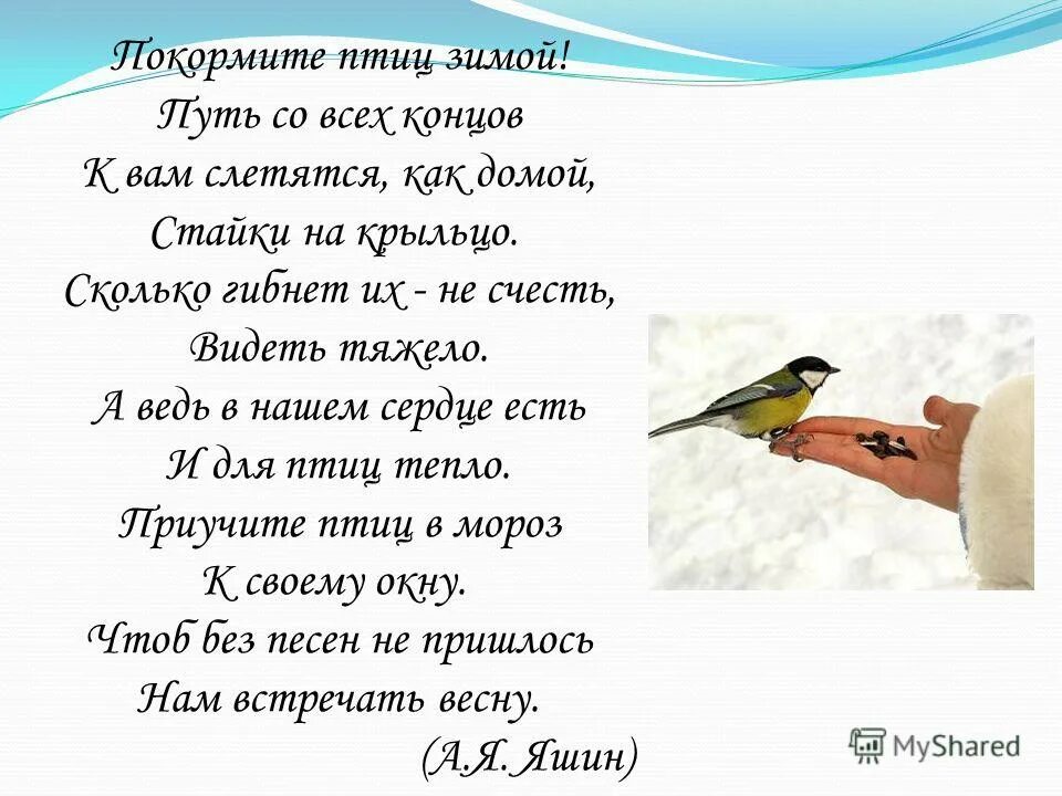 стих покормите птиц зимой. покормите птиц зимой стихотворение. стихотворение яшина покормите птиц зимой. покормите птиц зимой стихотворение. стихотворение о птицах покормите птиц.