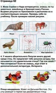 Мама сережи и нади интересуется