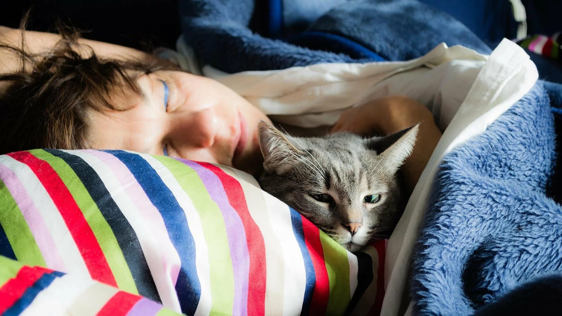 Кошка засыпает. Сонная кошка. Сновидения кошка с котятами. Котенок спит. Девушка спит с кошкой.