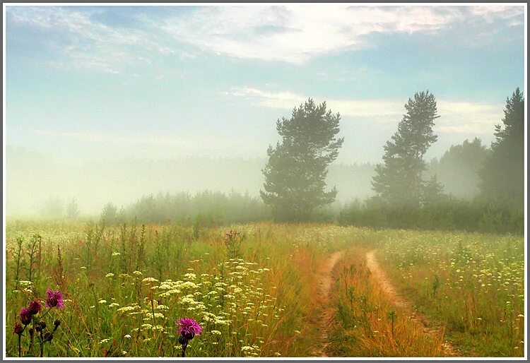 Солнечный полдень. Лениво дышит полдень троп. Краснодарский край горизонт поле. Жаркий июльский полдень. Солнечный полдень.