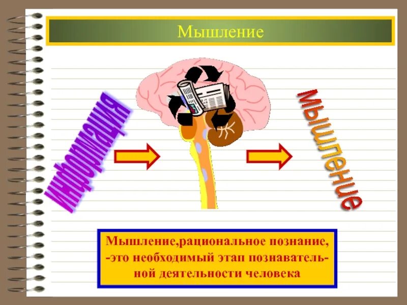 Познание мышление и информация. Рациональное мышление. Рациональное познание мышление. Рациональное мышление +Обществознание. Мыслительную деятельность необходимую