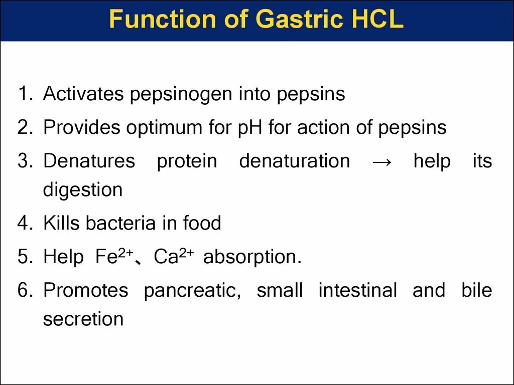 Function of be. Function. draw a diagram of the secretion of hydrochloric acid in the stomach. name the functions of hydrochloric acid.