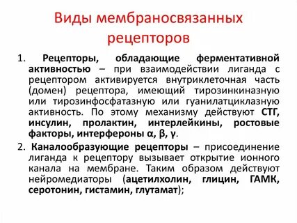 Мембранные рецепторы