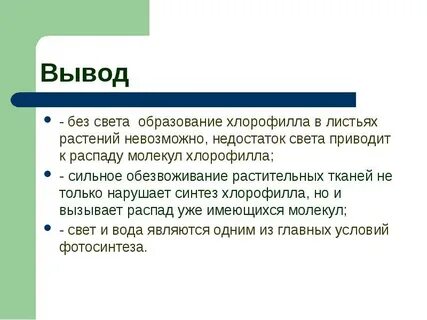 Образование хлорофилла в листьях растений