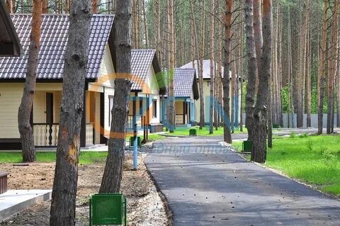 Турбаза сосновое самара