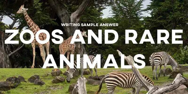 Wild animals essay