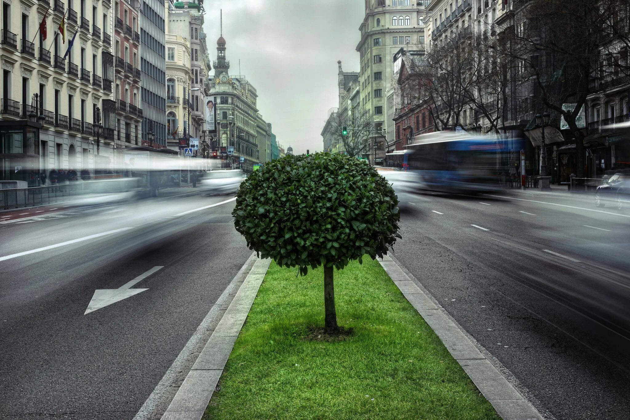 Примыкающие улицы. Деревья в городе. Зеленые насаждения в городе. Улица с деревьями. Улица зеленая.