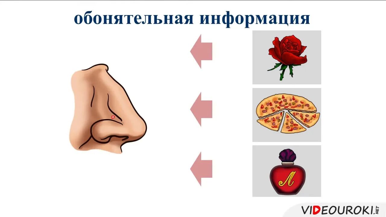 Информатика урок 2 - YouTube