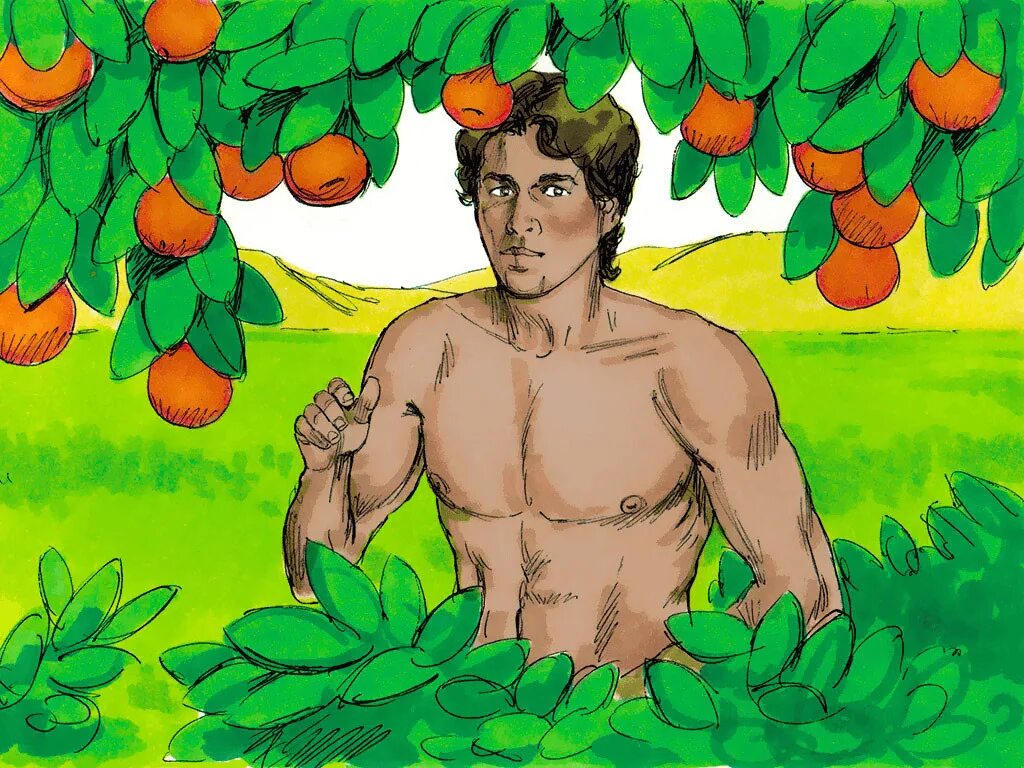 Adam znurek. Adam znurek