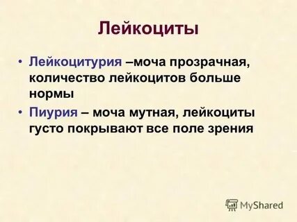 Лейкоциты в моче после антибиотиков