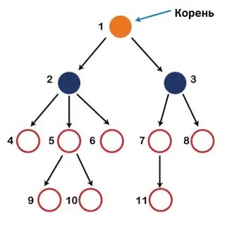 Прадед корень