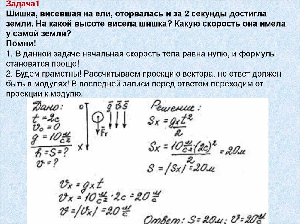 Весевшая или висевшая. Шишка висевшая на ели оторвалась и за 2 секунды достигла. Решение задач на свободное падение. Задачи на скорость падения. Шишка висевшая на дереве на высоте 10 м над землей упала.