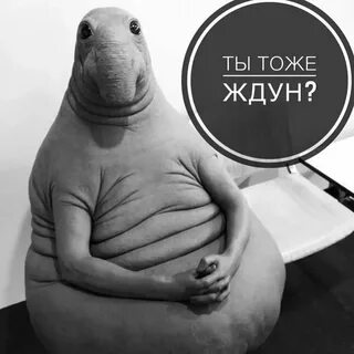 Смешная картинка ожидание