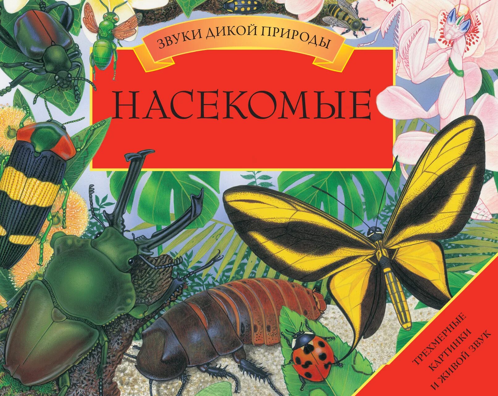 Аудиосказка про насекомых. Насекомые. энциклопедия. книга про насекомых. энциклопедия насекомых для детей. книга про насекомых детская.