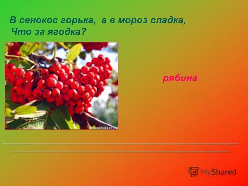 загадка в сенокос горька а в мороз сладка что за ягодка. горька а в мороз сладка. V senokos gor'ka a v moroz sladka. загадка в сенокос горька а в мороз сладка. загадка в сенокос горька а в мороз сладка что за ягодка.