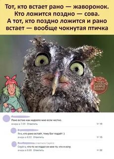 Чокнутая птичка