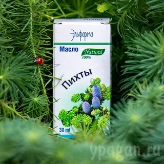 Свойства пихты