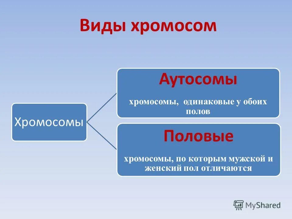 Половые хромосомы и аутосомы. Кариотип человека 22 аутосомы. Аутосомы. Аутосомы и половые хромосомы. Типы хромосомного определения пола.