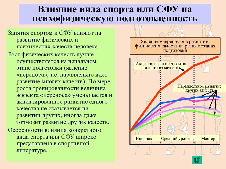 Влияние видов спорта на физическое развитие. Влияние различных видов спорта на формирование физических качеств. Влияние на развитие физических качеств.