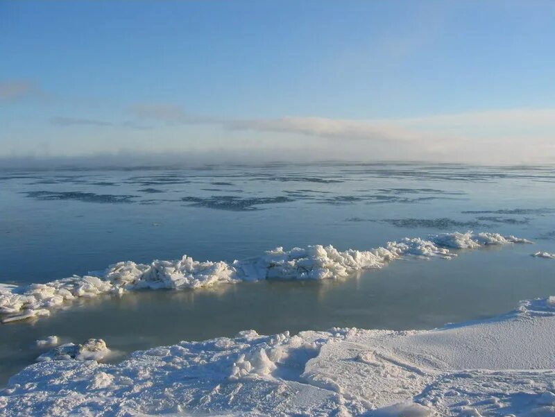 Береговая линия берингово. Берингово море. Море Лаптевых. Чукотское море. Чукотское побережье Берингова моря.