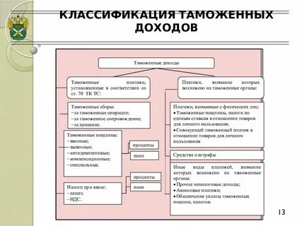 Классификация таможенных органов