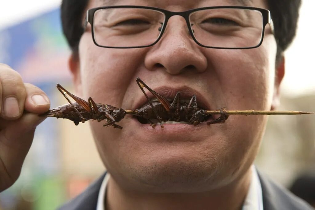 Собака съела таракана. Насекомые которых едят китайцы.