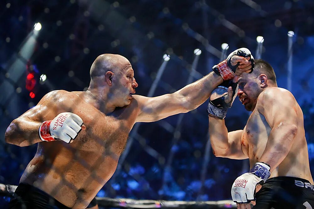 Мальдонадо федор емельяненко бой. Настюхин боец. Ислам махачев ufc. Смешанные единоборства русич тула. Тульский боец мма.