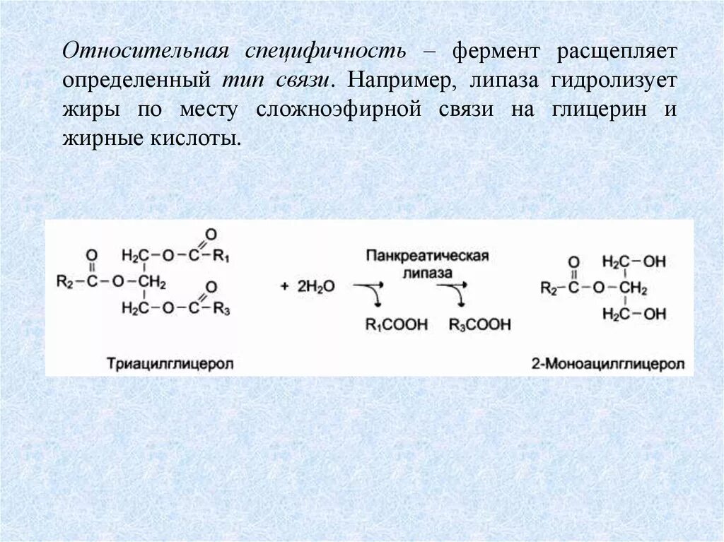 Групповая специфичность. Фермент с относительной субстратной специфичностью примеры. Относительная специфичность ферментов примеры. Абсолютная и Относительная специфичность действия ферментов. Относительная групповая специфичность ферментов.