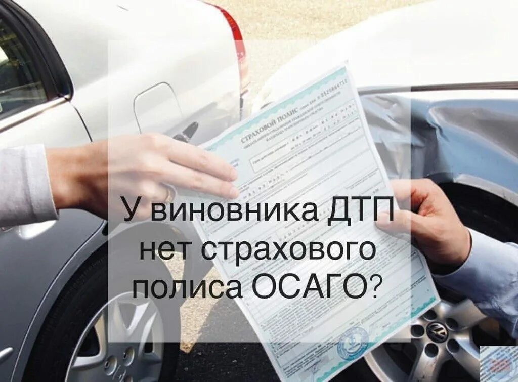 ОСАГО. У виновника ДТП нет ОСАГО. Страхование автомобиля. Страховка ОСАГО. Страховка на машину виновник